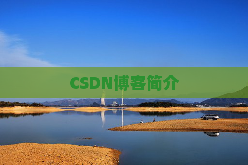 CSDN博客简介